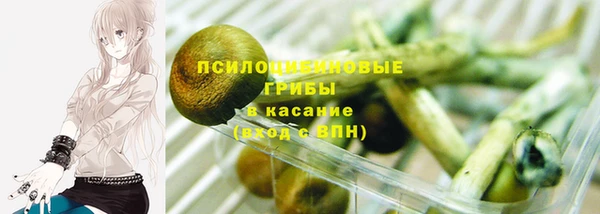 круглые Аркадак