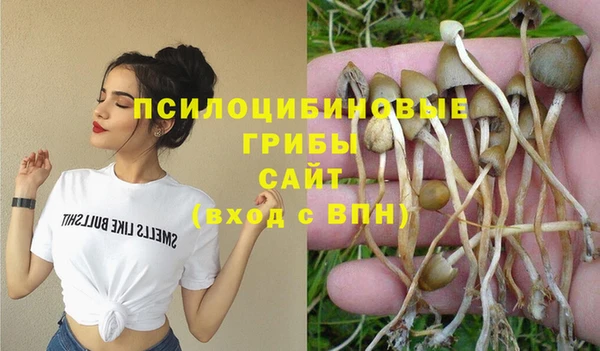 круглые Аркадак