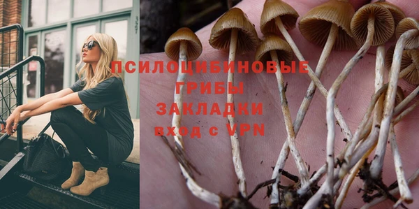 МДПВ Армянск